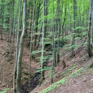 Dzień Dziecka licealistów 2021