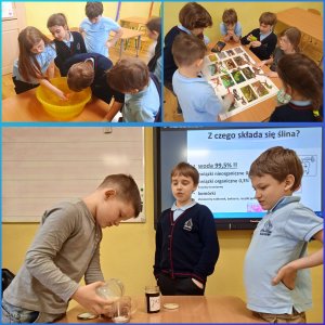 Projekt Edukacyjny 2021