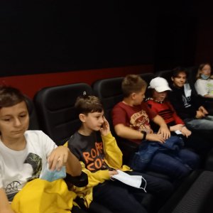 Przedstawienie ekologiczne