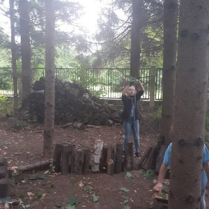 Wyjście do lasu