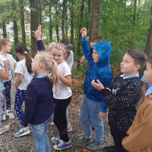 Wyjście do lasu