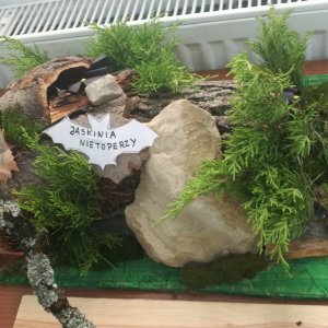 XVIII Podkarpacka Noc Nietoperzy