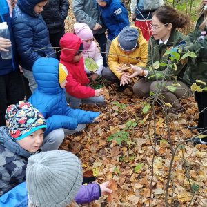 Klasy III na zajęciach w RDLP