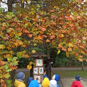 Klasy III na zajęciach w RDLP