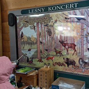 Klasy III na zajęciach w RDLP