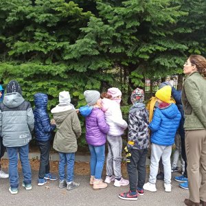 Klasy III na zajęciach w RDLP