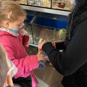 Wizyta w salonie zoologicznym