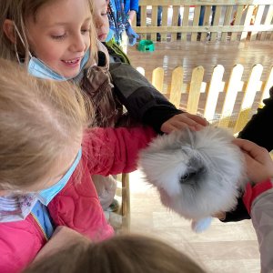 Wizyta w salonie zoologicznym