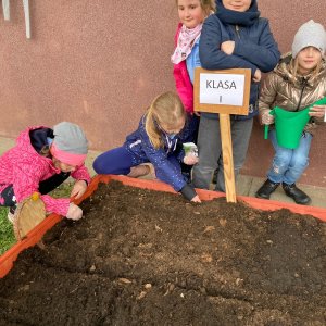 Projekt Żyj ekologicznie