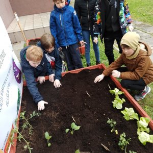 Projekt Żyj ekologicznie