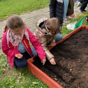 Projekt Żyj ekologicznie