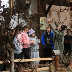 Wycieczka w Bieszczady