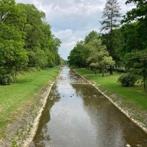 Dzień Dziecka licealistów