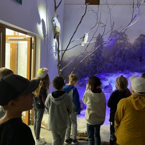 Wycieczka klas trzecich w Bieszczady
