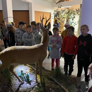 Wycieczka klas trzecich w Bieszczady