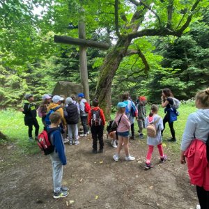 Wycieczka klas trzecich w Bieszczady