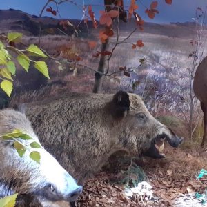 Wycieczka do Mucznego