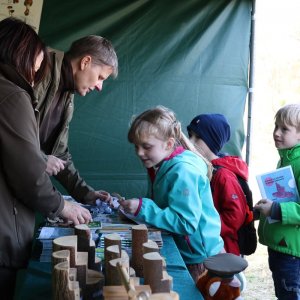 Czyste Zielone Miasta