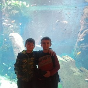 Historyczna stolica Dolnego Śląska