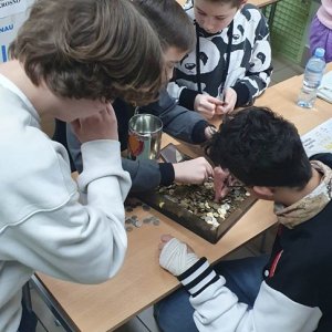 Podsumowanie akcji Góra Grosza