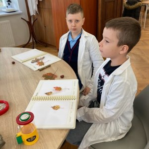 Warsztaty przyrodnicze w Jedliczu