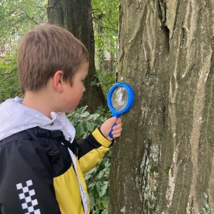 Warsztaty przyrodnicze w Jedliczu