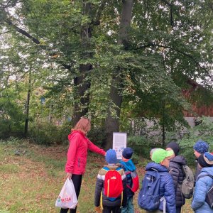 Warsztaty przyrodnicze w Jedliczu