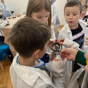 Warsztaty przyrodnicze w Jedliczu