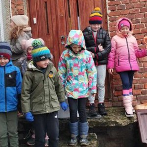 Zbiórka dla potrzebujących zwierząt