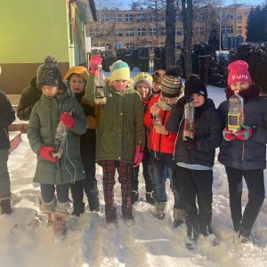 Jak mądrze dokarmiać ptaki