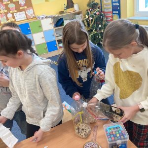 Jak mądrze dokarmiać ptaki