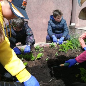 Earth Day