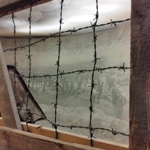 „Kto ratuje jedno życie, ratuje cały świat.”