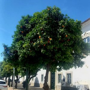 Poznajemy Portugalię