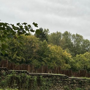 Innowacja historyczna w LO