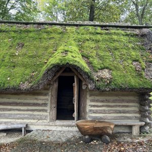 Innowacja historyczna w LO