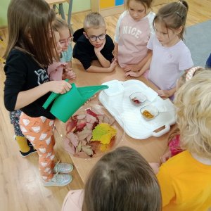 Jesienne kółko naukowo - przyrodnicze