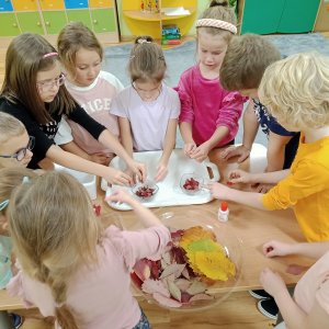 Jesienne kółko naukowo - przyrodnicze