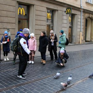 Przygody Tomka Sawyera