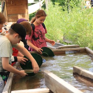 Kraina Biesów i Czadów nad Soliną