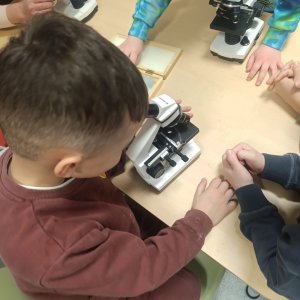 Dzień otwarty w naszej szkole.