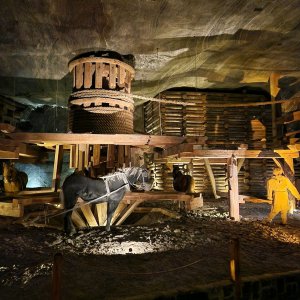 Wieliczka, Dobczyce, Kraków – wycieczka ósmej klasy