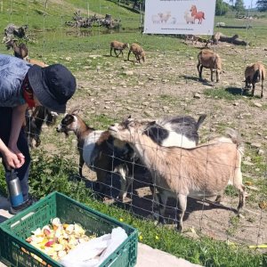 Wycieczka klasy VII do Rudawki Rymanowskiej