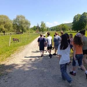 Wycieczka klasy VII do Rudawki Rymanowskiej