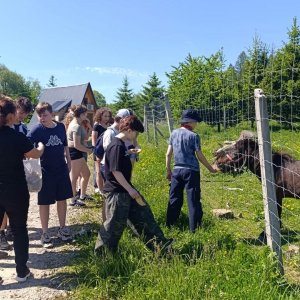 Wycieczka klasy VII do Rudawki Rymanowskiej