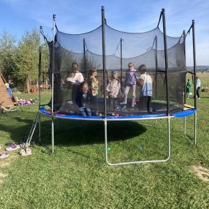 Niezapomniany dzień w Alpakozagrodzie