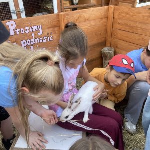 Niezapomniany dzień w Alpakozagrodzie