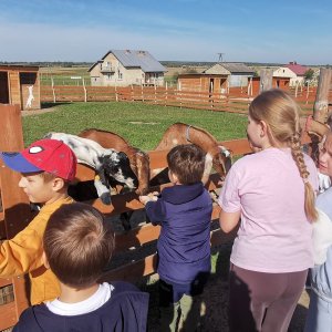 Niezapomniany dzień w Alpakozagrodzie