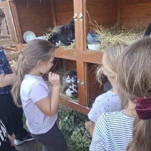 Niezapomniany dzień w Alpakozagrodzie
