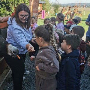 Niezapomniany dzień w Alpakozagrodzie
